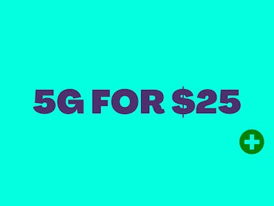 5g for $25 | Kool Whip by Giving Tree Gardens