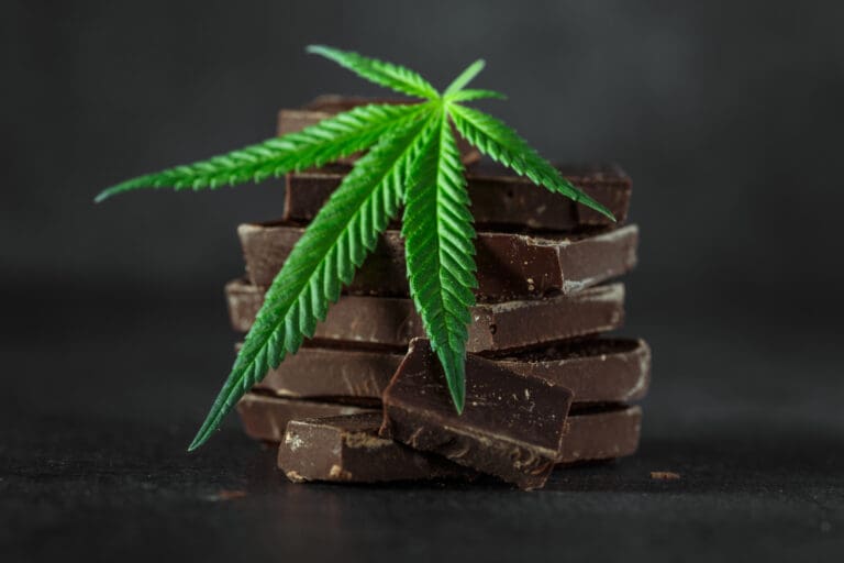 chocolate and cannabis